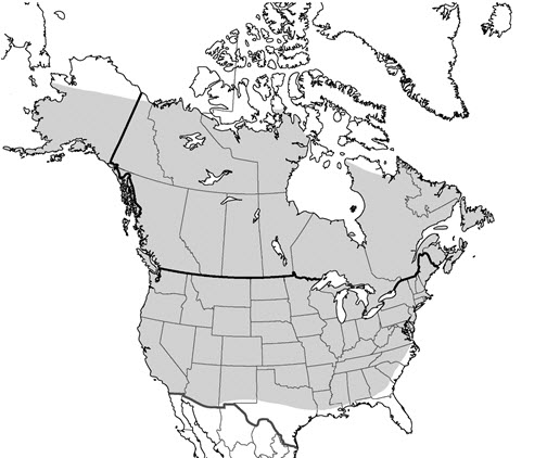 Map of the North Americageographic range of the Transverse Lady Beetle (see long description below)