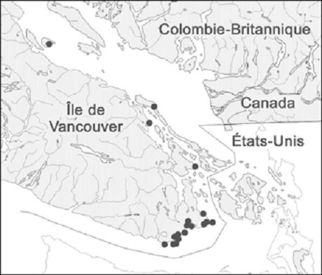Figure&nbsp;4. Répartition de la limnanthe de Macoun (Limnanthes macounii) en Colombie-Britannique (Canada).