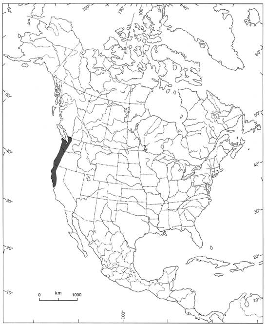 Figure 2. Aire de répartition mondiale de la musaraigne de Bendire (Sorex bendirii).