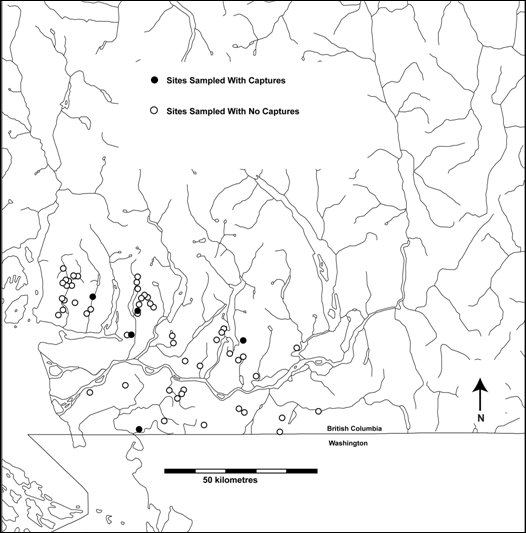 Figure 5. Presence-absence data for Pacific water shrews (Sorex bendirii) at 61 locations surveyed within its range. Based on 22 locations surveyed from 1989-1992 by Seip (unpublished data) and Seip and Savard (1990) and 39 locations sampled in 1992 by Zuleta and Galindo-Leal (1994).