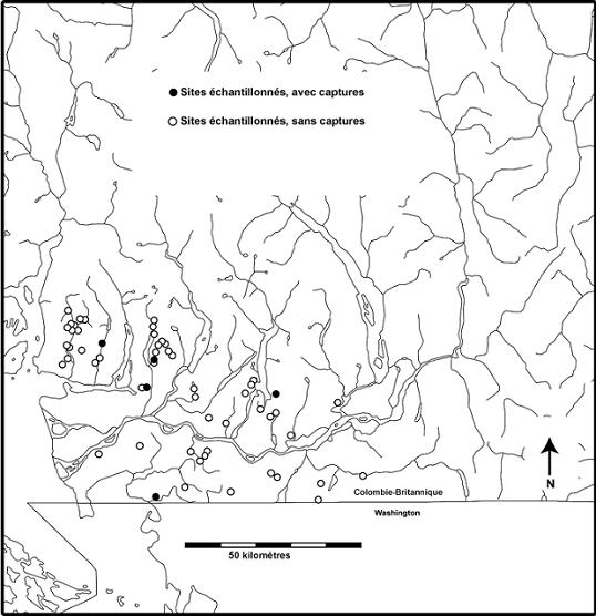 Figure 5.  Données sur la présence ou l’absence de la musaraigne de Bendire (Sorex bendirii’) à 61 emplacements inventoriés dans l’aire de répartition. Fondées sur 22 emplacements ayant fait l’objet de relevés de 1989 à 1992 par Seip (données inédites) ainsi que Seip et Savard (1990) et 39 emplacements échantillonnés en 1992 par Zuleta et Galindo-Leal (1994).