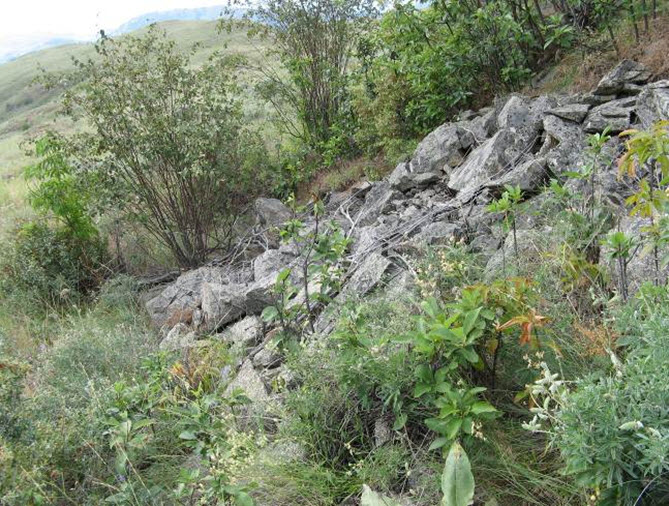 South Okanagan Grasslands Protected Area Chopaka East site