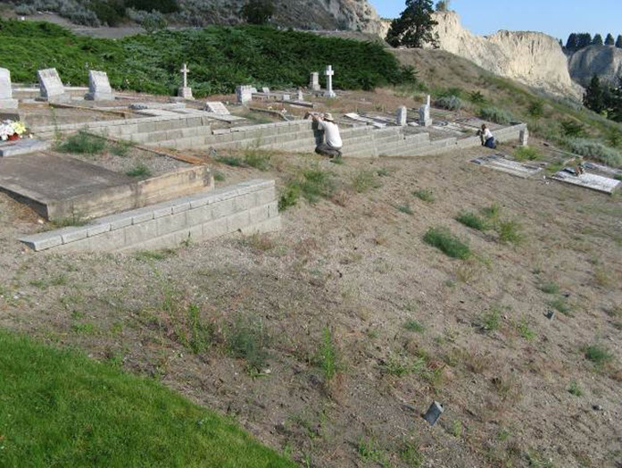 Artificial rock wall supporting P. hesperus