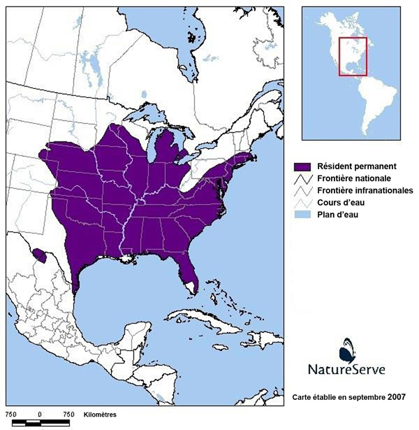 Carte montrant le répartition mondiale de la taupe à queue glabre