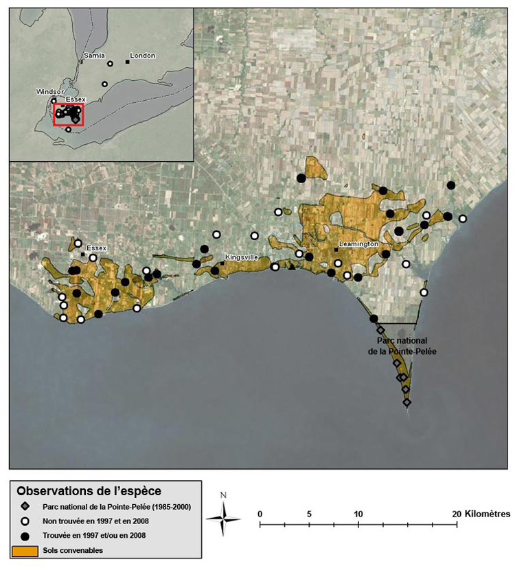 Carte montrant le occurrences de la taupe à queue glabre dans le sud de l’Ontario