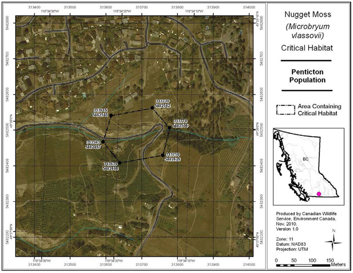 Map area of Penticton BC. (see long description below)