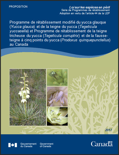 Programme de  rétablissement modifié