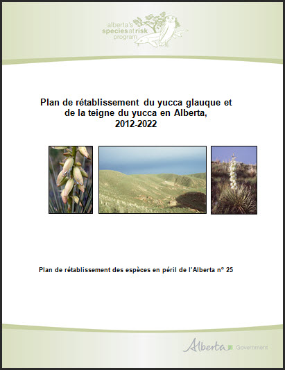 Photographie : Plan de gestion du vertigo à crêtes fines