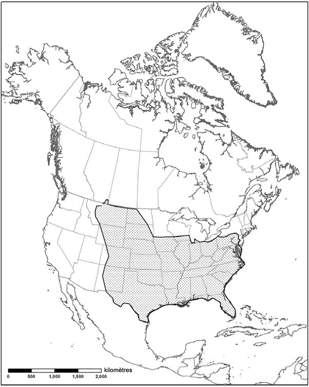 Aire de répartition de la teigne du yucca en Amérique du Nord