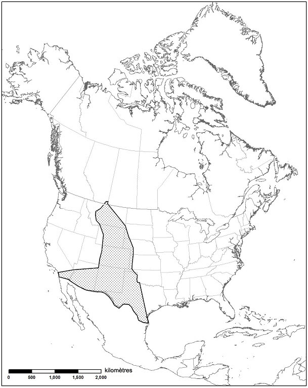 Aire de répartition de la teigne tricheuse du yucca en Amérique du Nord