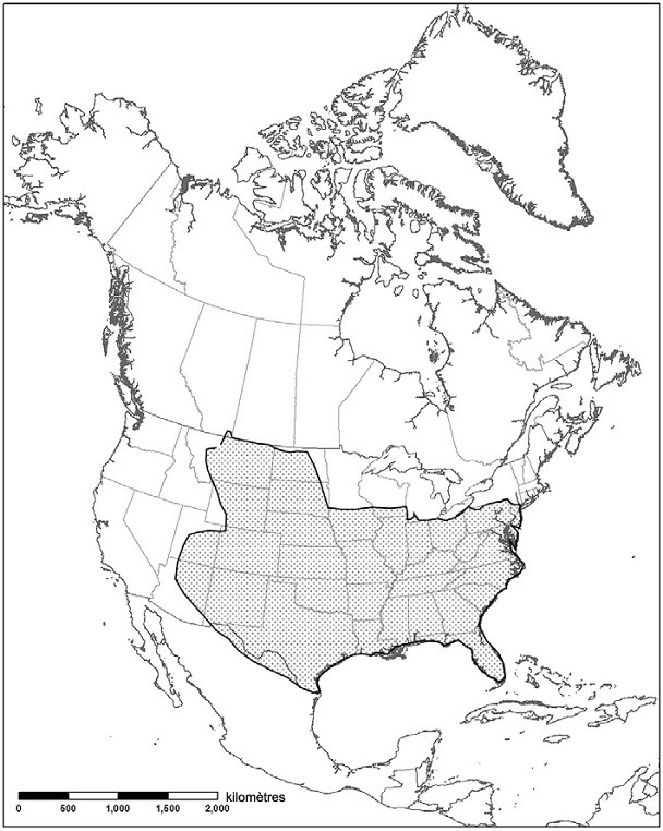 Aire de répartition de la teigne tricheuse du yucca en Amérique du Nord