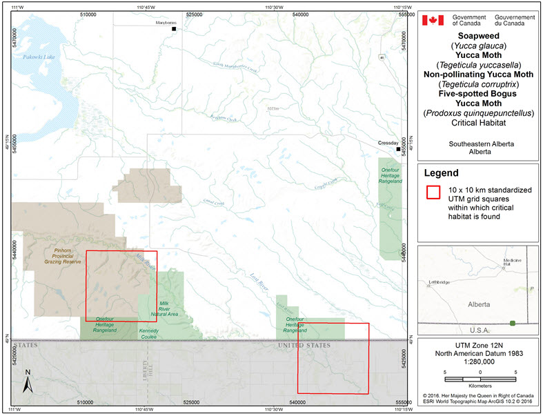 Critical habitat for Soapweed, Yucca Moth, Non-pollinating Yucca Moth, and Five-spotted Bogus Yucca Moth