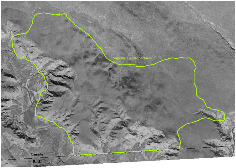 Limites de l'habitat essentiel du yucca glauque au site de Onefour.