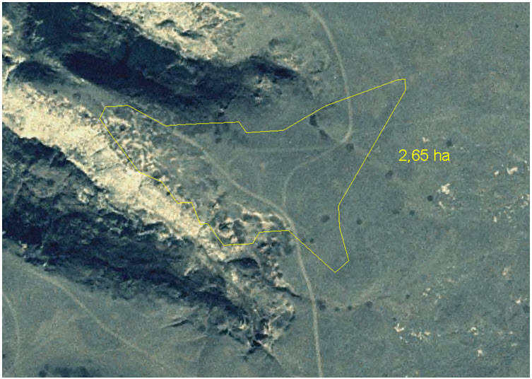 Limites de l'habitat essentiel du yucca glauque au site de Pinhorn.