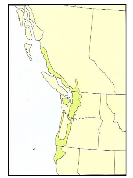 Map of Coastal Tailed Frog distribution in North America