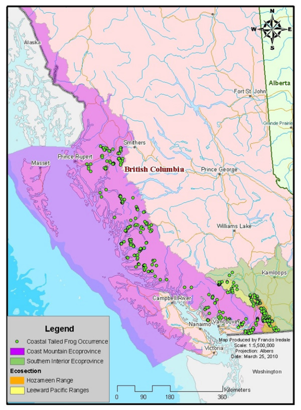 Map showing distribution of the Coastal Tailed Frog relative to provincial biogeographic units