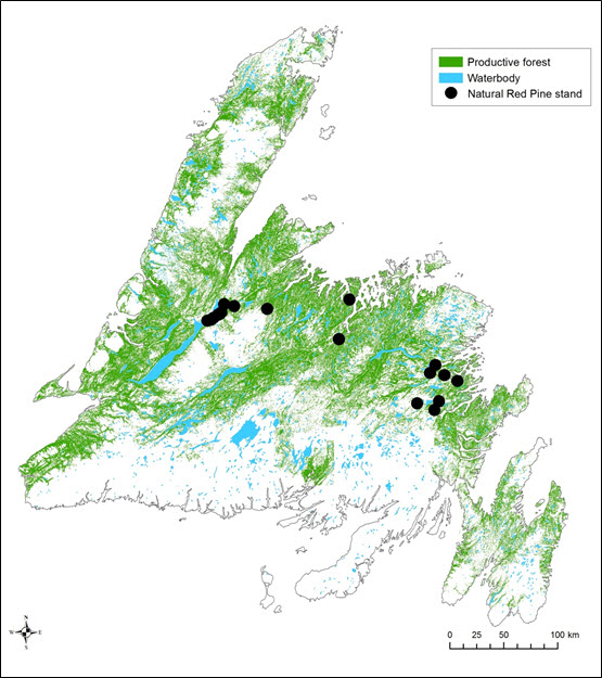 Map showing areas of productive forest in insular Newfoundland and Labrador (see long description below)