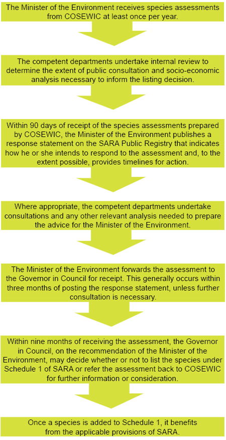 The species listing process under SARA