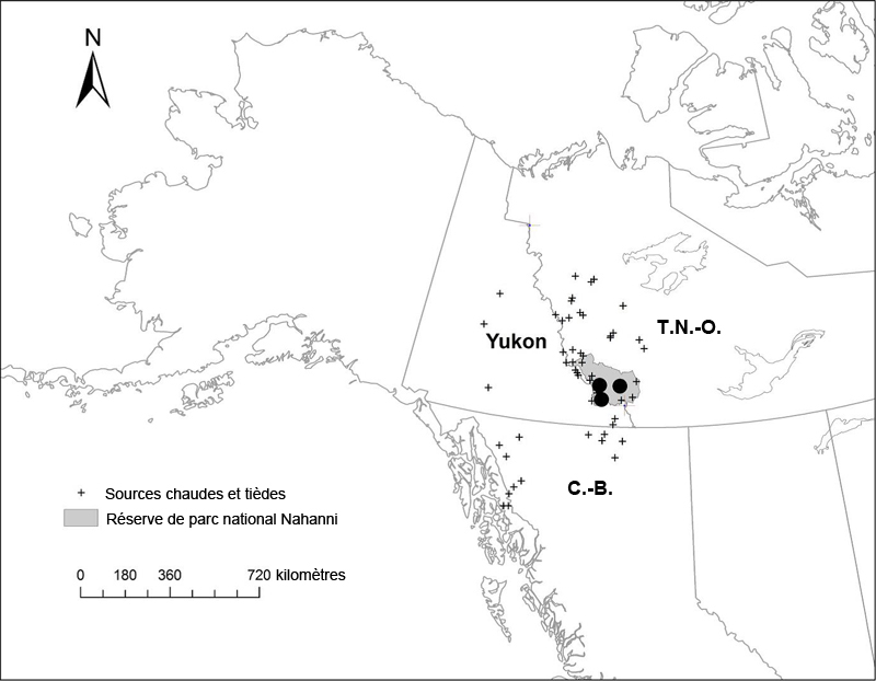 Répartition mondiale de l'aster de la Nahanni