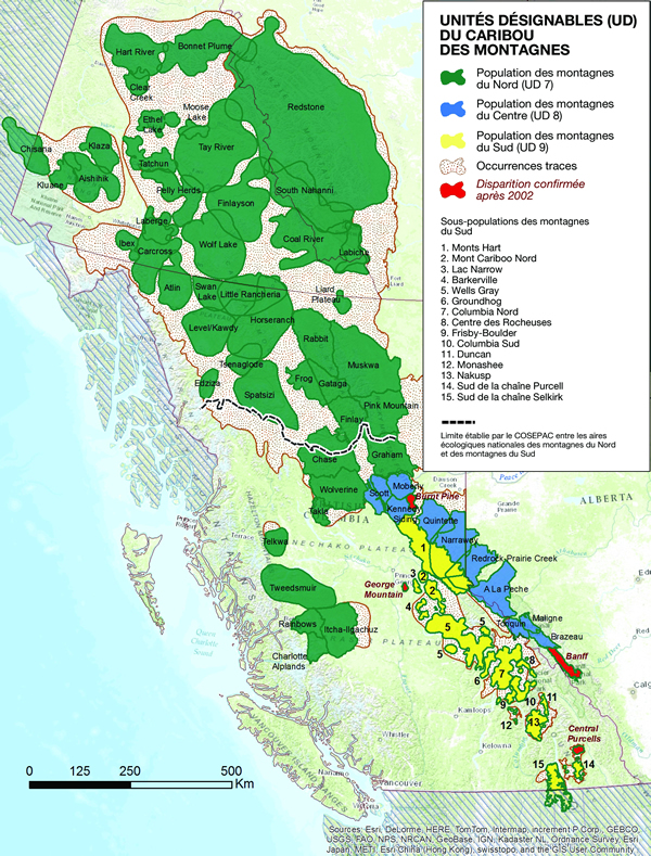 Distribution of the Caribou subpopulations in the Northern Mountain