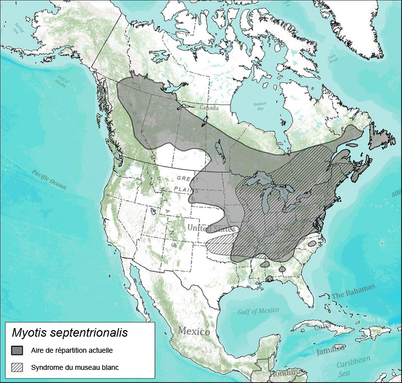 Distribution of the Caribou subpopulations in the Northern Mountain