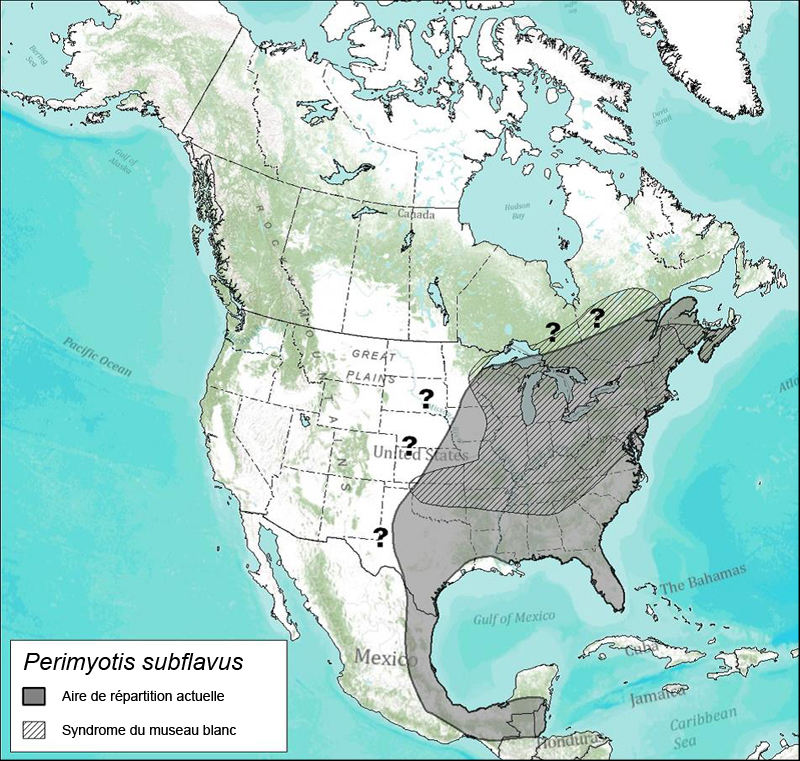 Distribution of the Caribou subpopulations in the Northern Mountain