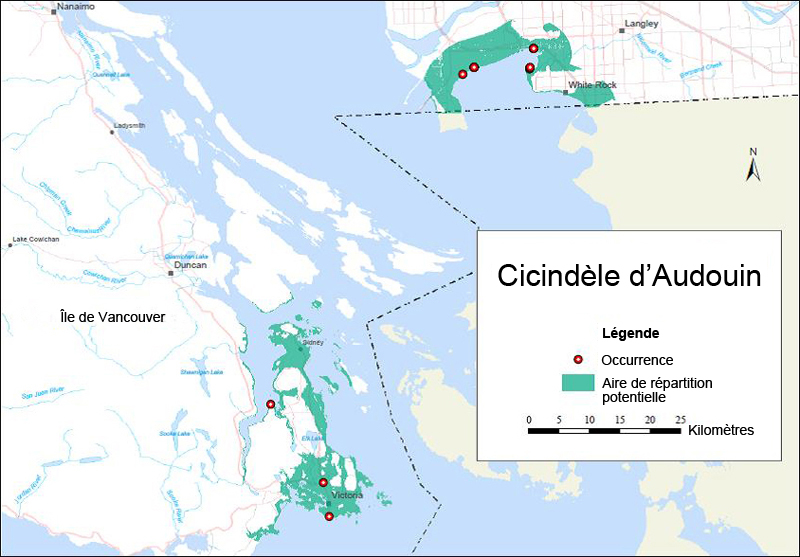 Distribution of the Caribou subpopulations in the Northern Mountain