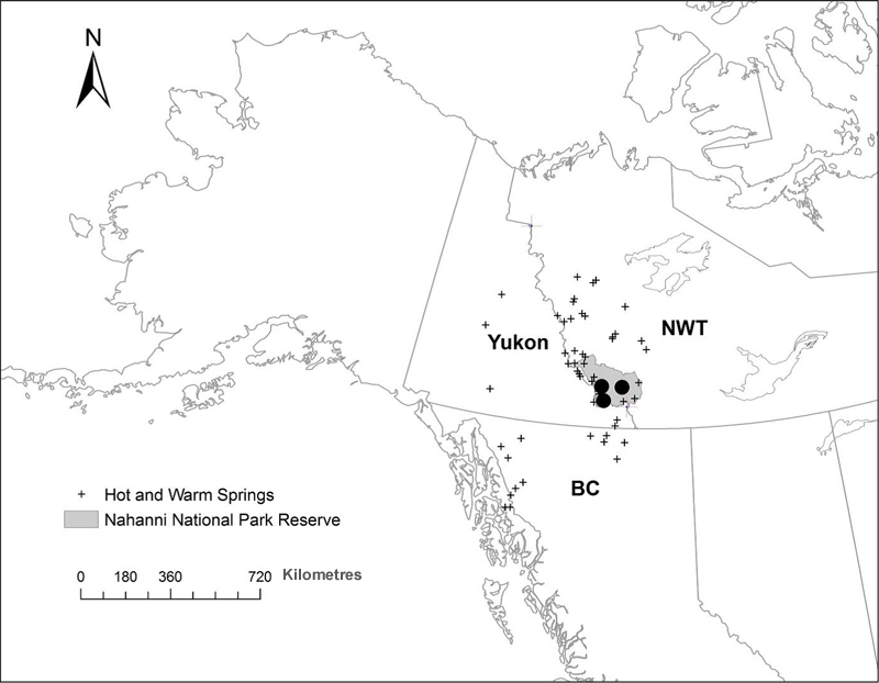 Global range of Nahanni Aster