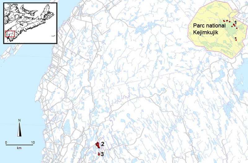 Répartition de l'hydrocotyle à ombelle en Nouvelle-Écosse 1