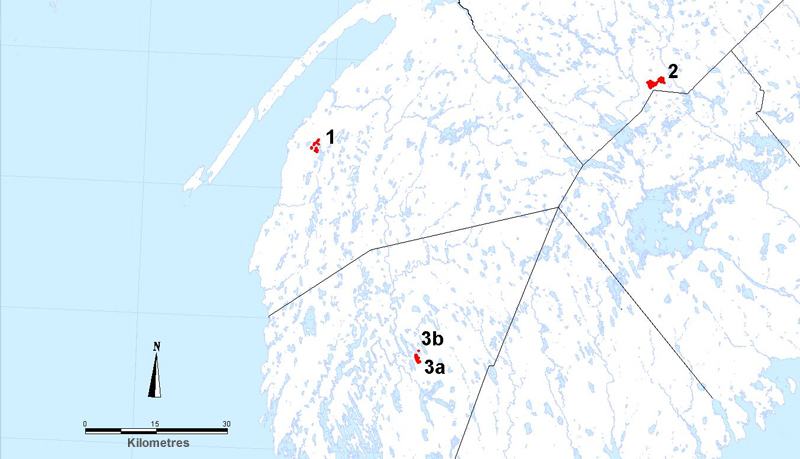 Distribution of Sweet Pepperbush