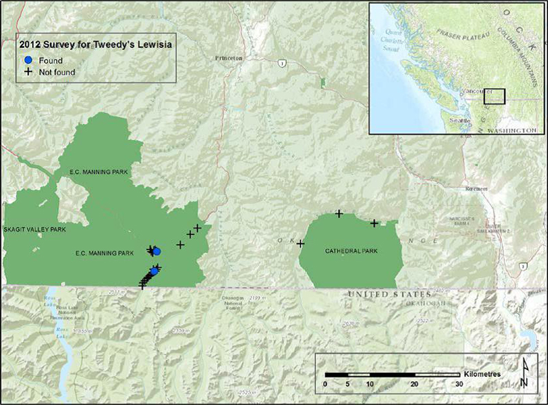 Canadian distribution of Tweedy's Lewisia