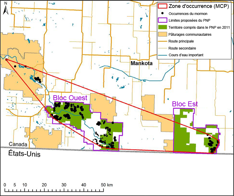 Aire de répartition de la léwisie de Tweedy au Canada.