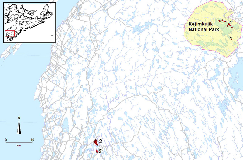 Distribution of Water Pennywort
