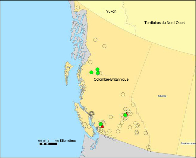 Répartition du Peltigère éventail d'eau de l'Ouest au Canada
