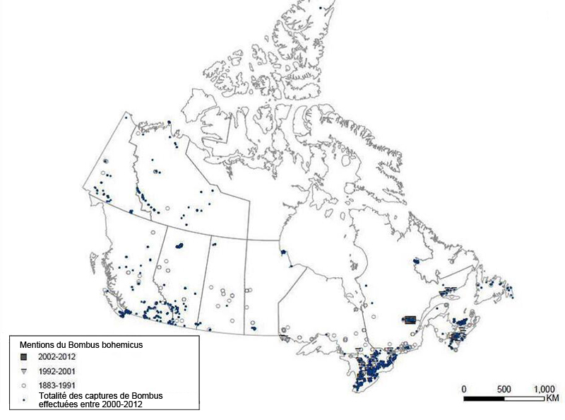 Mentions du psithyre bohémien au Canada