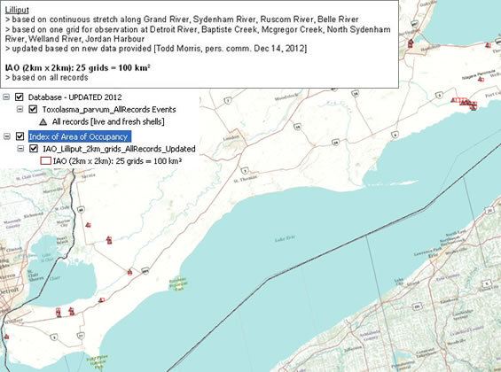 Map showing the locations of the 2 kilometre by 2 kilometre grid cells used to calculate maximal historical index of area of occupancy (IAO) for the Lilliput within Canada's extent of jurisdiction. (See long description below)