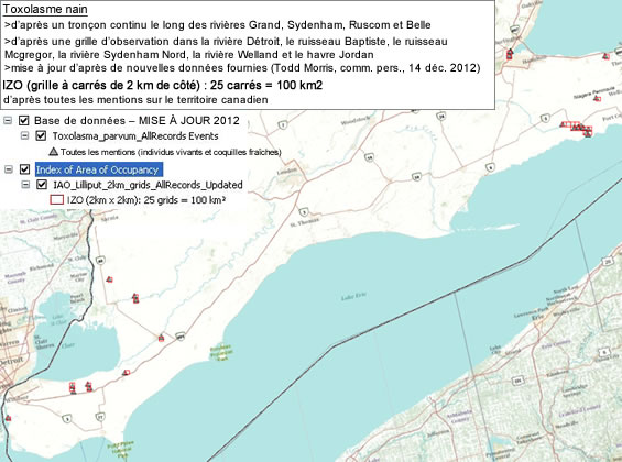 Figure 6. Indice de zone d’occupation (IZO) du toxolasme nain (grille à carrés de 2&nbsp;km de côté) d’après toutes les mentions faites sur le territoire canadien. (Voir description longue ci-dessous.)