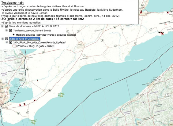 Figure 7. Indice de zone d’occupation actuel (2011) du toxolasme nain d’après toutes les mentions faires sur le territoire canadien. (Voir description longue ci-dessous.)
