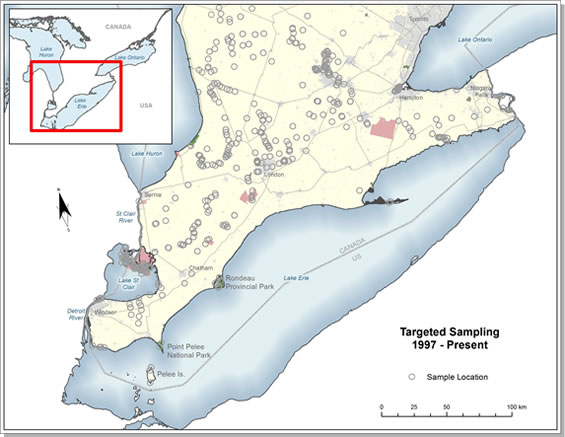 Map showing the locations of recent (1997 to 2012) targeted mussel sampling sites within the range of the Lilliput in Canada. (See long description below)