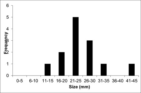 Chart displaying the size distribution of 13 Lilliput found in the Grand River in 2011. (See long description below)