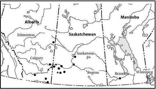 Figure 3. Distribution of Copablepharon longipenne in Canada.