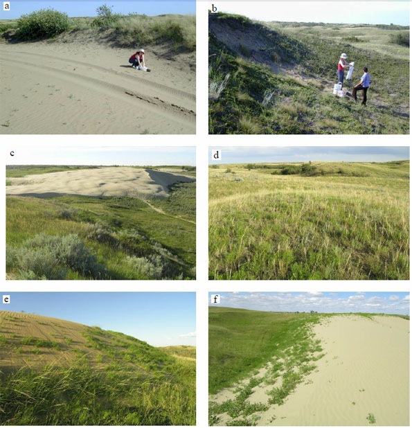 Figure 5. Caractéristiques des habitats de dunes.