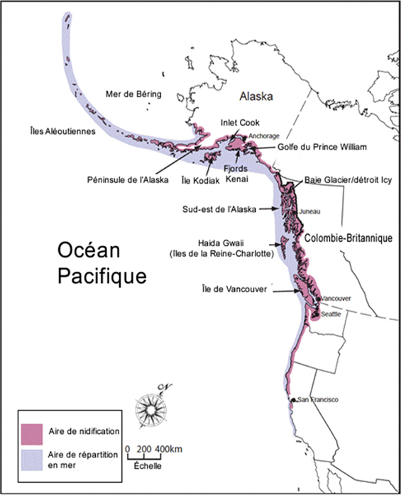 Figure 1. Répartition mondiale du Guillemot marbré (carte tirée de Piatt et al., 2007, reproduction autorisée). (Voir description longue ci-dessous.)