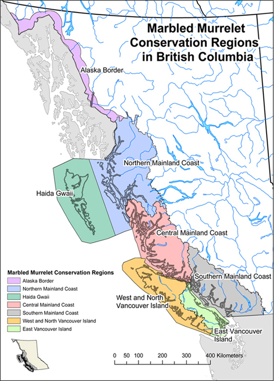 Figure 2 is a map that shows the seven conservation regions within British Columbia that are recognized by the Marbled Murrelet Recovery Team in B.C. and are shaded different colours. (See long description below)