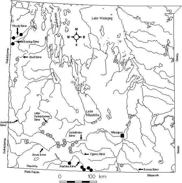 Figure 3: Canadian distribution of the Bigmouth Shiner, Notropis dorsalis.