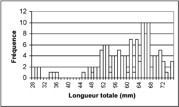 Figure 4 : Distribution des fréquences de longueur chez 129 ménés à grande bouche capturés à l’automne de 1995