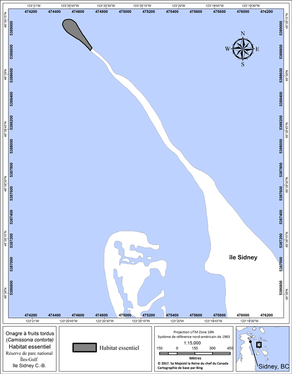 Figure 2&nbsp;: Habitat essentiel de l'onagre à fruits tordus dans la réserve de parc national des Îles-Gulf sur l’île Sydney, C.-B.