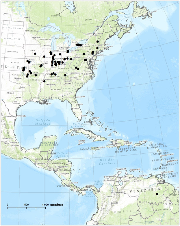 Carte montrant la répartition mondiale de la tortule méridionale (voir longue description ci-dessous)