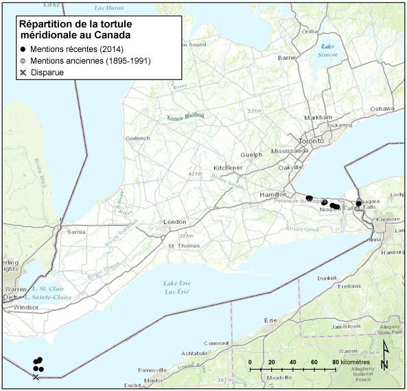 Carte illustrant la répartition de la tortule méridionale au Canada (voir longue description ci-dessous)