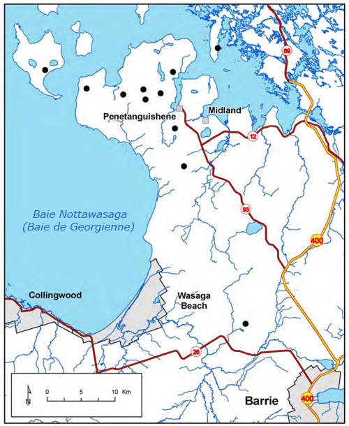La figure 1 est une carte des populations existantes d'aristides à rameaux basilaires en Ontario.